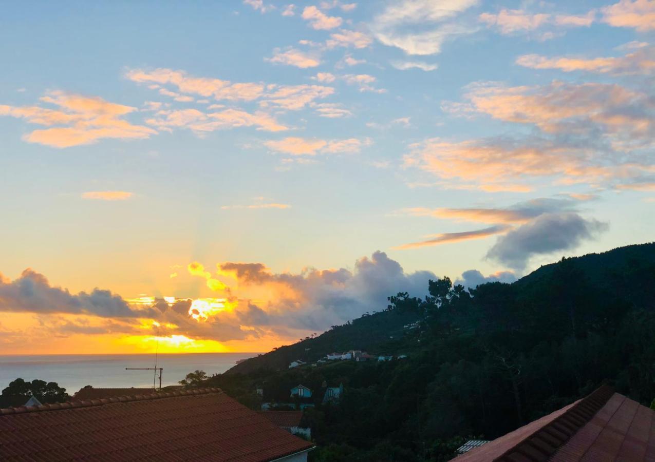 Quinta Pereirinha Farm - A Private 3 Bedroom Vacation Home, Close To Hiking W Ocean Views - Pico Island, Azores São Roque do Pico المظهر الخارجي الصورة