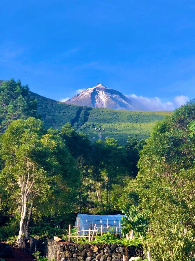 Quinta Pereirinha Farm - A Private 3 Bedroom Vacation Home, Close To Hiking W Ocean Views - Pico Island, Azores São Roque do Pico المظهر الخارجي الصورة