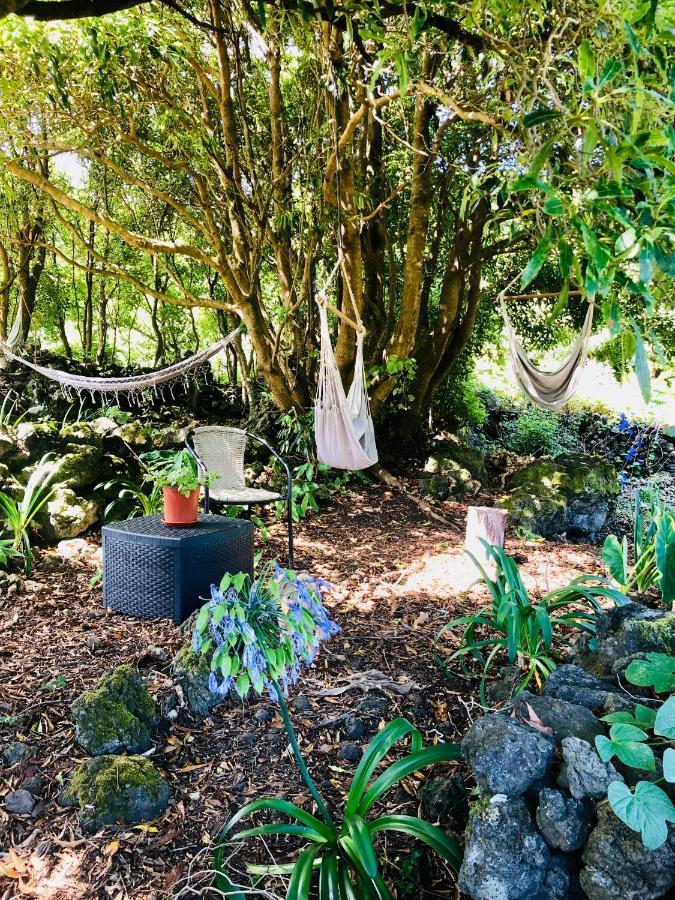 Quinta Pereirinha Farm - A Private 3 Bedroom Vacation Home, Close To Hiking W Ocean Views - Pico Island, Azores São Roque do Pico المظهر الخارجي الصورة