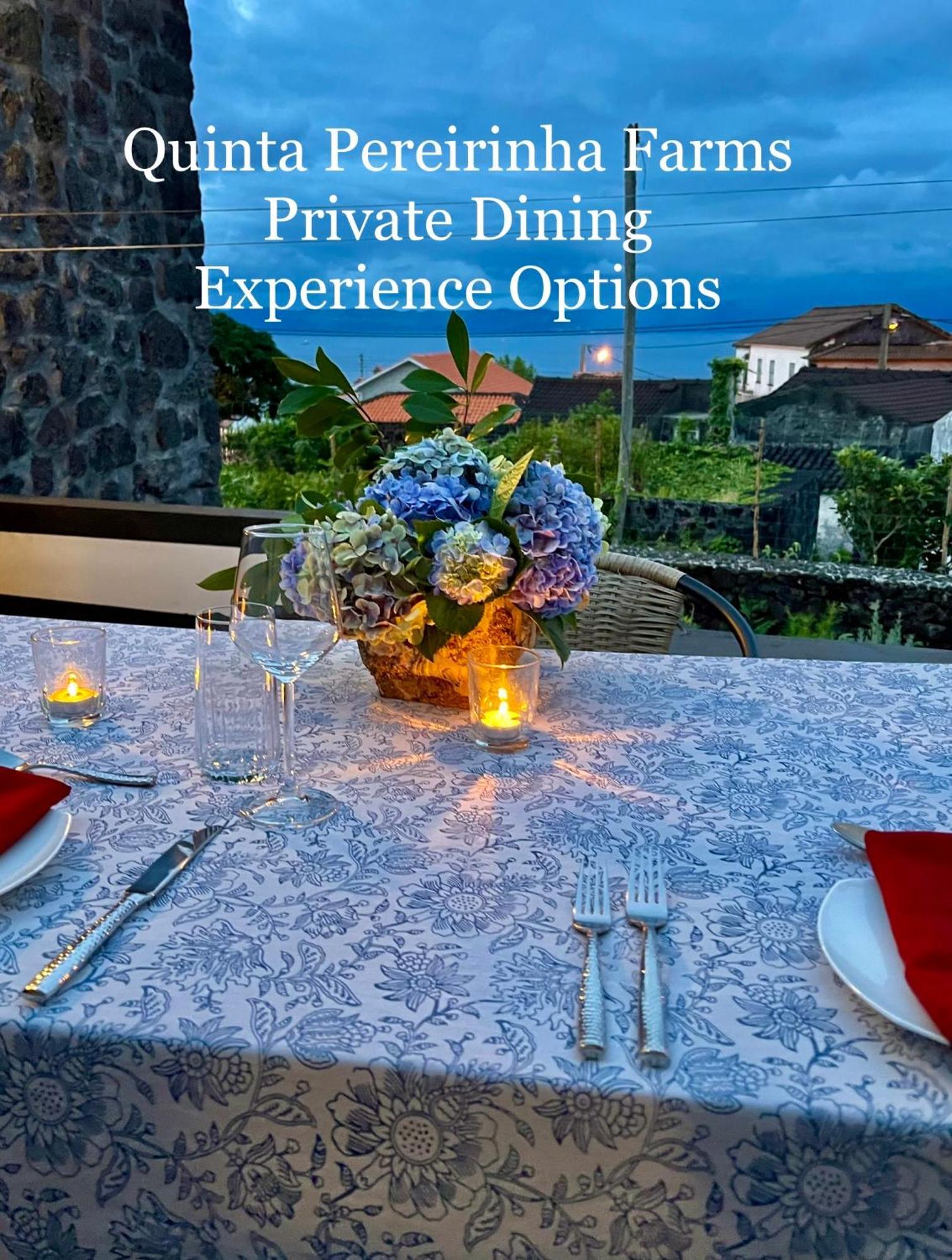Quinta Pereirinha Farm - A Private 3 Bedroom Vacation Home, Close To Hiking W Ocean Views - Pico Island, Azores São Roque do Pico المظهر الخارجي الصورة